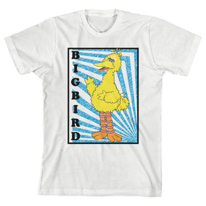 Boys Big Bird Sesame Street Shirt Youth Big Bird Apparel