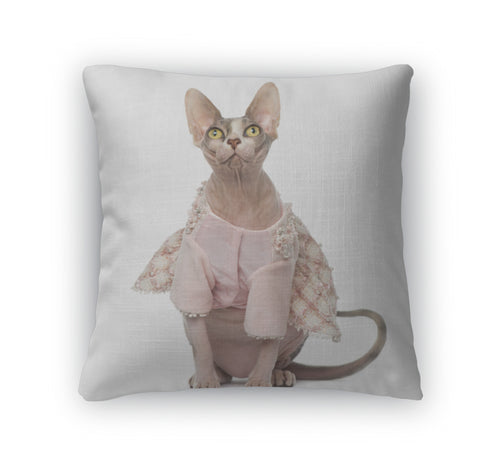 Throw Pillow, Sphynx Dressed 1 Year Old