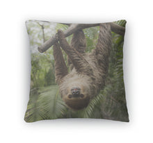 Load image into Gallery viewer, Throw Pillow, Young Hoffmanns Twotoed Sloth Choloepus Hoffmanni On The Tree