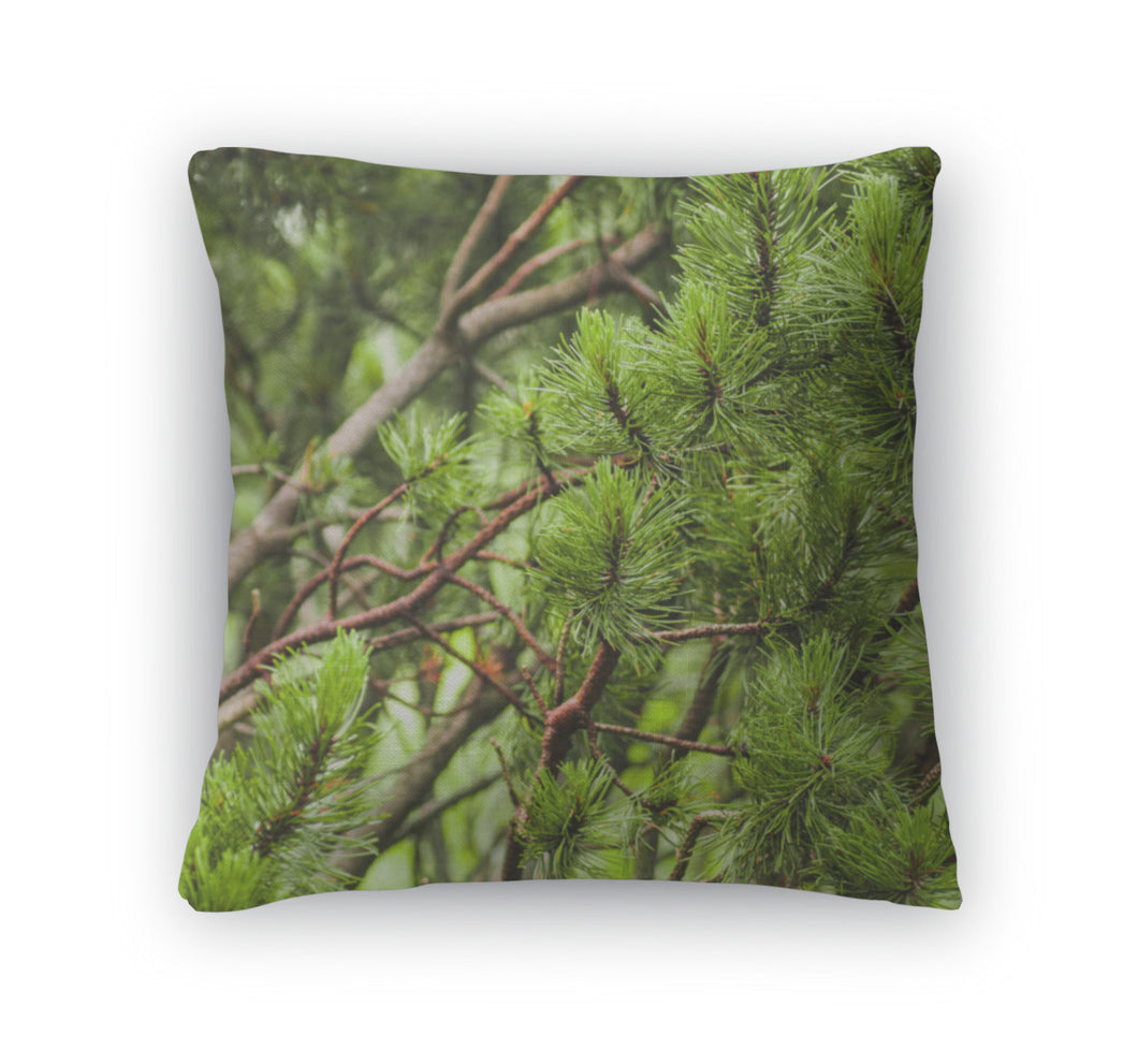 Throw Pillow, Branch Of Needles Pine