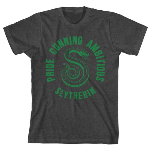 Boys Slytherin TShirt Harry Potter Boys Graphic Tee