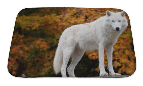 Bath Mat, Arctic Wolf Looking At The Camera