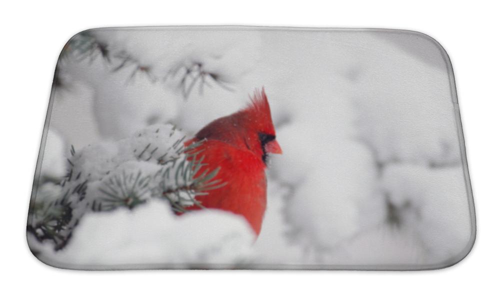 Bath Mat, Northern Cardinal Perched In A Tree