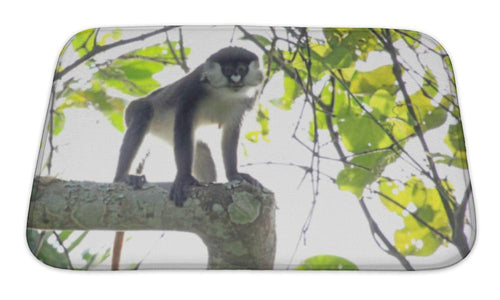 Bath Mat, Red Tailed Monkey Bigodi Wetlands Uganda Africa