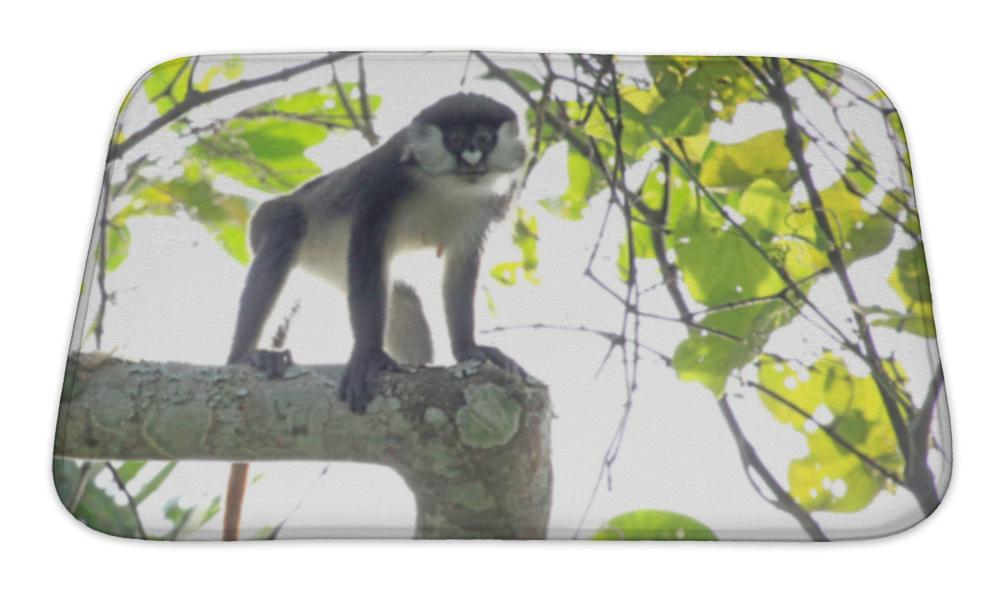 Bath Mat, Red Tailed Monkey Bigodi Wetlands Uganda Africa