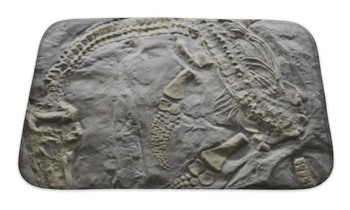 Bath Mat, Dinosaur Skeleton
